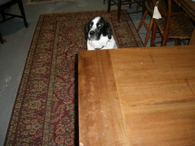 Custom Built Tables in MD